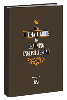 ultimate-guide---english1