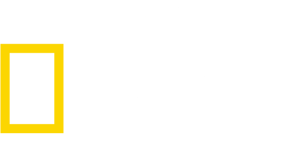 EC-Live-logos-NTL EC-Live-logos-NTL