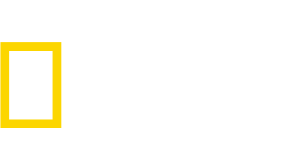 ECV-logos-NTL